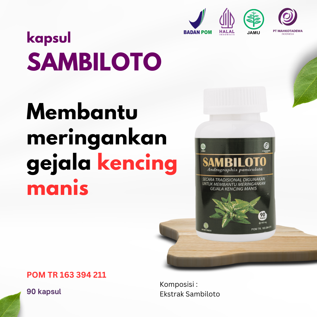 KAPSUL SAMBILOTO