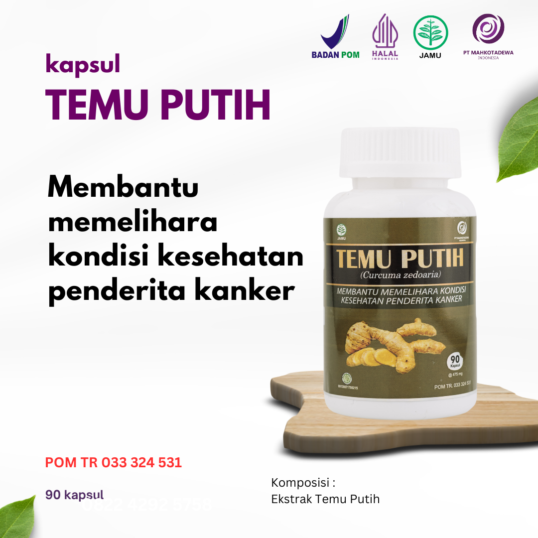 KAPSUL TEMU PUTIH