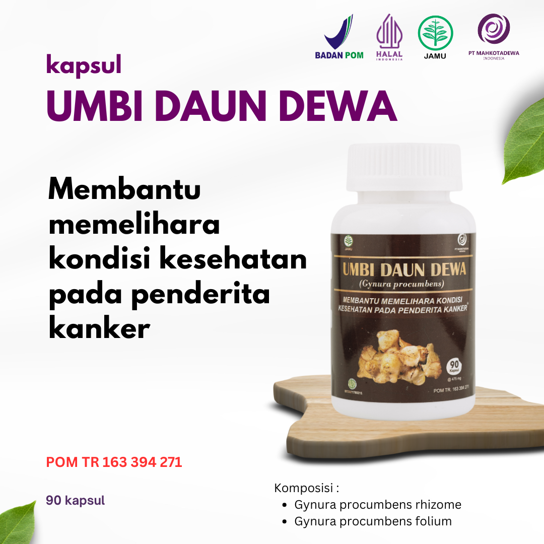 KAPSUL UMBI DAUN DEWA
